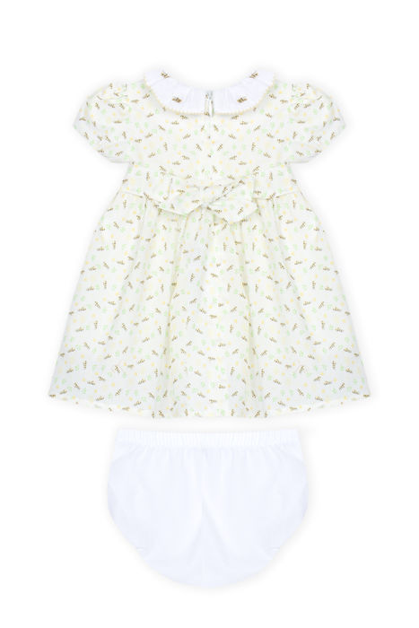 newborn dress with panties