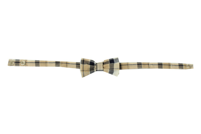 Boy Tie