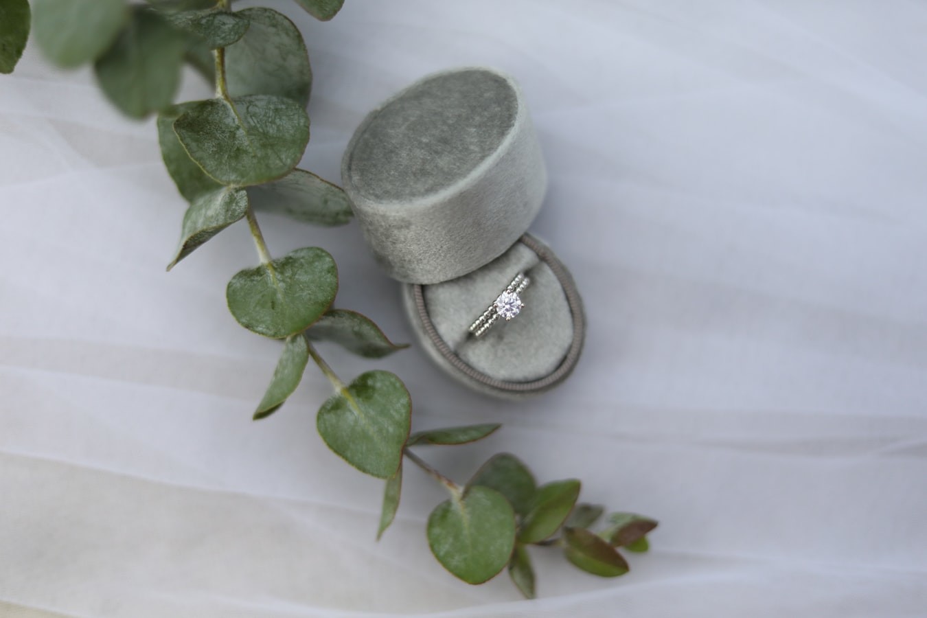 website image