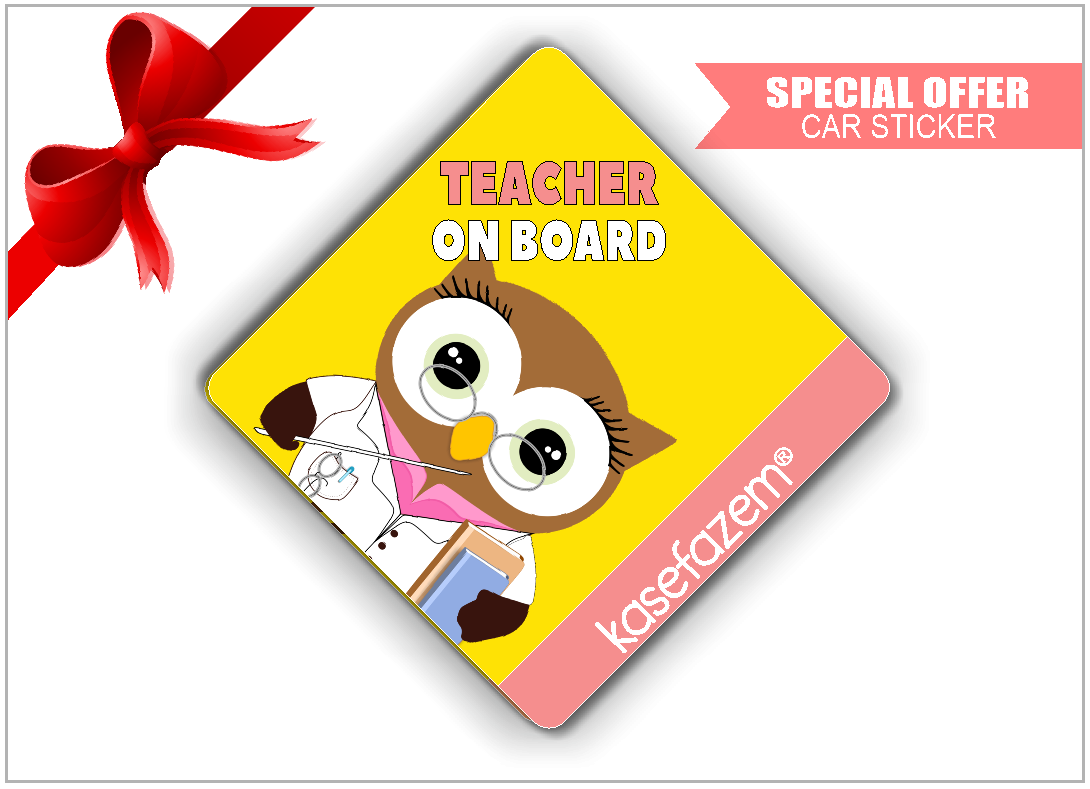 Personalizable Teacher Class Wall Plaque Pink Flamingo